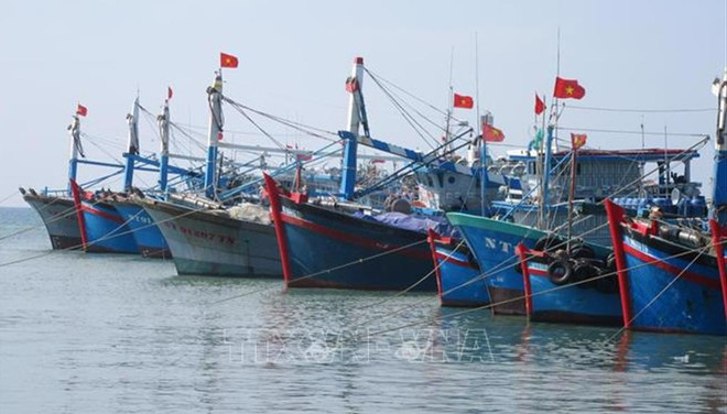 INN : la communauté des pêcheurs s’engage à la lutte contre la pêche illégale ảnh 1