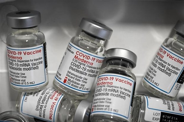 La FDA des Philippines approuve l'utilisation du vaccin anti-COVID-19 de Moderna pour les enfants ảnh 1 La FDA des Philippines approuve l'utilisation du vaccin anti-COVID-19 de Moderna pour les enfants ảnh 1
