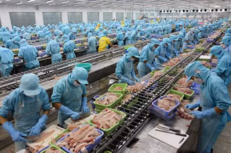 Produits aquatiques : 4,3 milliards de dollars d'exportations depuis janvier ảnh 1