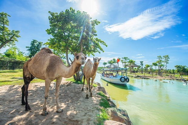 Le Vietnam cherche à promouvoir le tourisme intérieur dans le contexte de crise sanitaire ảnh 5 Le Vietnam cherche à promouvoir le tourisme intérieur dans le contexte de crise sanitaire ảnh 5