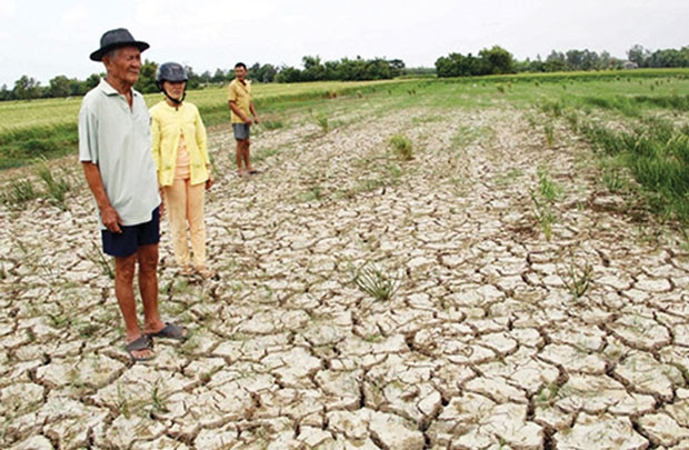 Aide de près de 485 milliards de dôngs contre la sécheresse et la salinisation ảnh 1 Aide de près de 485 milliards de dôngs contre la sécheresse et la salinisation ảnh 1