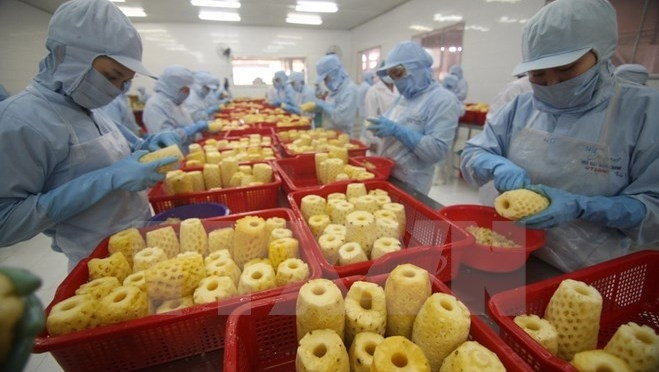 Vietnam: Une croissance d’import-export impressionnante en 2015 ảnh 1 Vietnam: Une croissance d’import-export impressionnante en 2015 ảnh 1