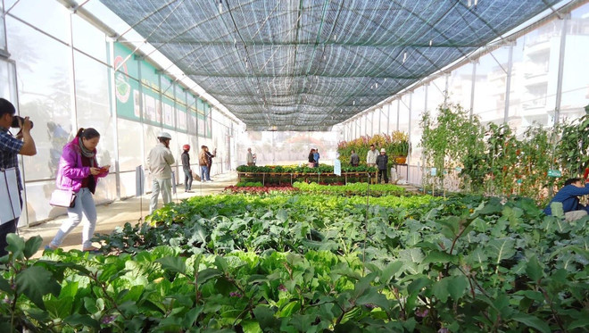 L’AFD assiste des projets non gouvernementaux au Vietnam ảnh 1 L’AFD assiste des projets non gouvernementaux au Vietnam ảnh 1