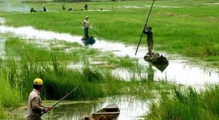 Le PM promulgue un projet pilote de développement socio-économique pour le Delta du Mékong ảnh 1 Le PM promulgue un projet pilote de développement socio-économique pour le Delta du Mékong ảnh 1