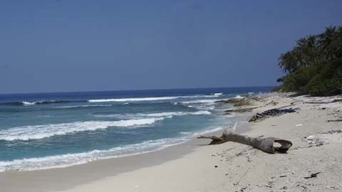 Faire de Binh Thuân un centre touristique national ảnh 1