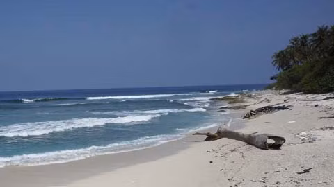 Faire de Binh Thuân un centre touristique national ảnh 1