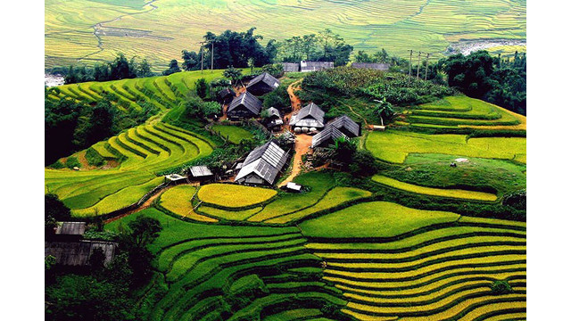 Vietnam : N°1 des lieux incontournables à visiter ảnh 2 Vietnam : N°1 des lieux incontournables à visiter ảnh 2