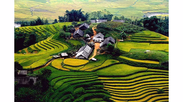 Vietnam : N°1 des lieux incontournables à visiter ảnh 2