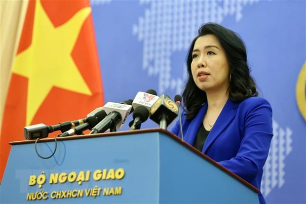 Le Vietnam demande de traiter strictement une affaire de violences faite à une femme vietnamienne ảnh 1 Le Vietnam demande de traiter strictement une affaire de violences faite à une femme vietnamienne ảnh 1