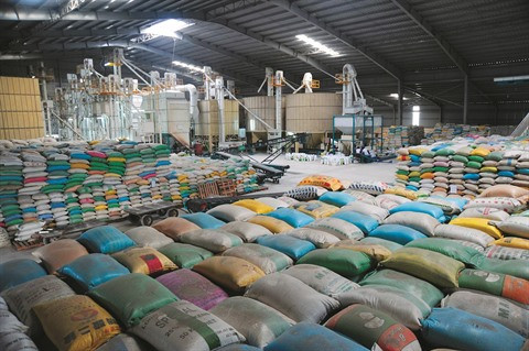 Développer de nouveaux débouchés pour le riz vietnamien ảnh 1 Développer de nouveaux débouchés pour le riz vietnamien ảnh 1