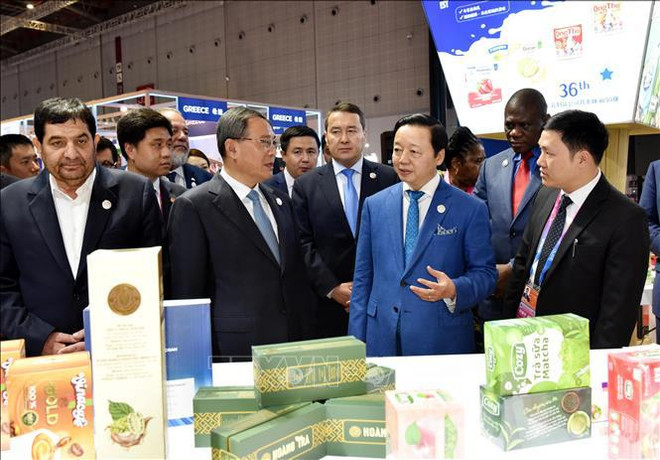 Le Vietnam participe à la 6e Exposition internationale d’importation de la Chine ảnh 2