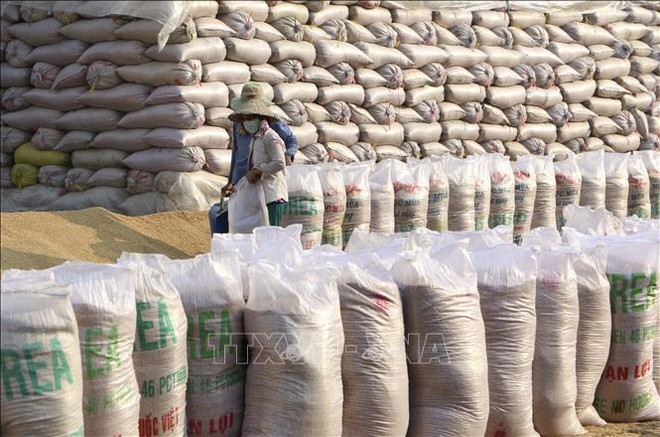 Les prix du riz à l'exportation du Vietnam grimpent en flèche ảnh 2 Les prix du riz à l'exportation du Vietnam grimpent en flèche ảnh 2