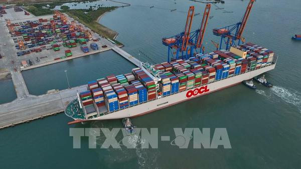 Le volume du fret via les ports maritimes du Vietnam rebondit en 10 mois ảnh 1