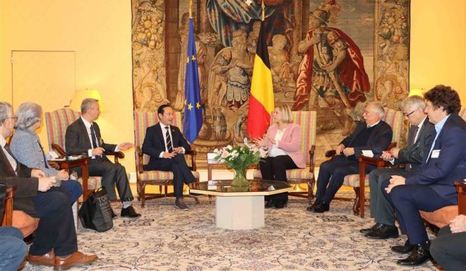 Vietnam et Belgique renforcent leur coopération dans le soutien aux victimes de l’agent orange ảnh 1 Vietnam et Belgique renforcent leur coopération dans le soutien aux victimes de l’agent orange ảnh 1