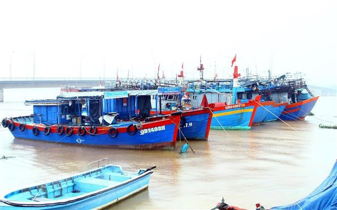 Quang Binh poursuit ses efforts de lutter contre la pêche INN ảnh 1 Quang Binh poursuit ses efforts de lutter contre la pêche INN ảnh 1