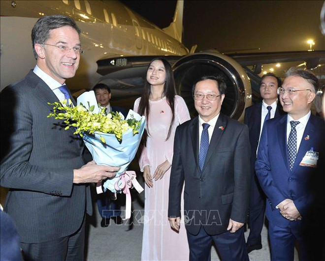 Le Premier ministre néerlandais arrive à Hanoï, entamant une visite officielle au Vietnam ảnh 1