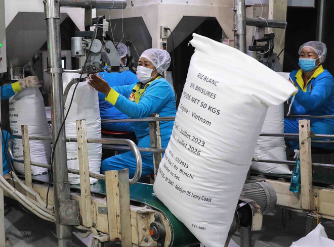 Les prix du riz à l'exportation du Vietnam grimpent en flèche ảnh 1 Les prix du riz à l'exportation du Vietnam grimpent en flèche ảnh 1