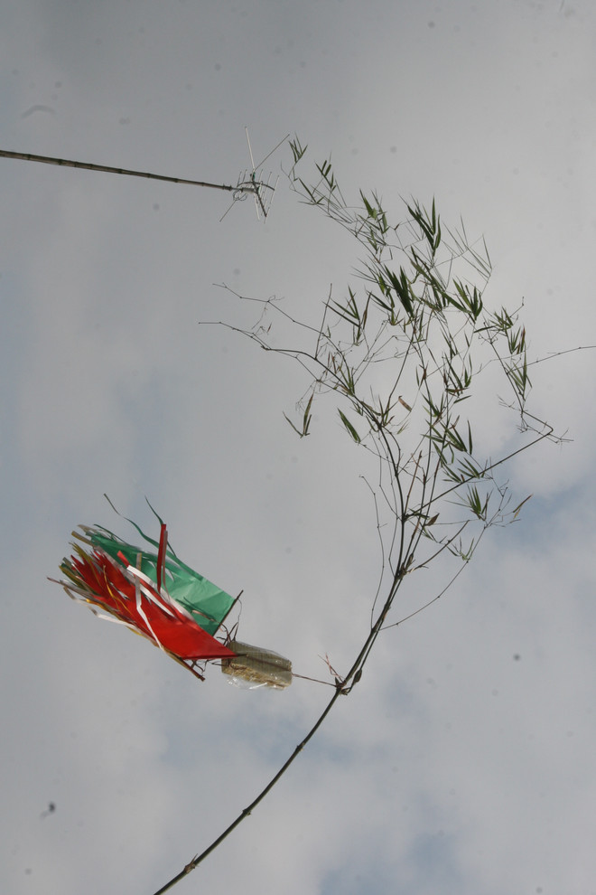 Cây nêu – la perche rituelle du Têt ảnh 1