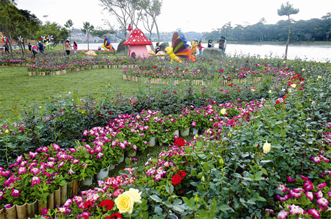 Quatre sites à visiter pour la fin de l’année ảnh 2 Quatre sites à visiter pour la fin de l’année ảnh 2