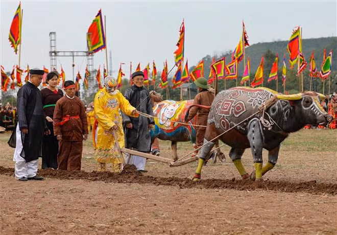 Ouverture de la fête Tich Diên 2023 à Ha Nam ảnh 1