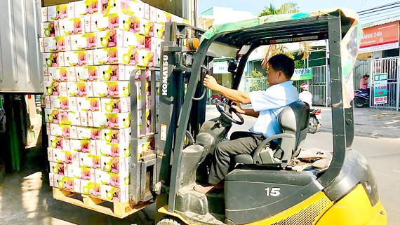 Plus de 150 tonnes de produits agricoles vietnamiens exportés mensuellement vers la Thaïlande ảnh 1 Plus de 150 tonnes de produits agricoles vietnamiens exportés mensuellement vers la Thaïlande ảnh 1
