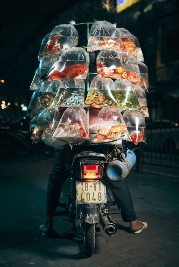 Une photo d’un vendeur de poissons d'ornement à moto primée aux Smithsonian Photo Contest ảnh 1 Une photo d’un vendeur de poissons d'ornement à moto primée aux Smithsonian Photo Contest ảnh 1
