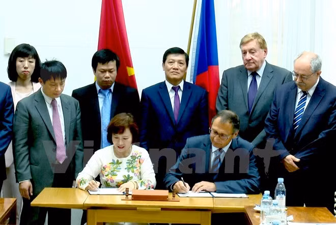 La 5e session du Comité intergouvernemental Vietnam-République tchèque ảnh 1