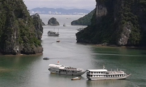 Quang Ninh prend des mesures pour améliorer ses services touristiques ảnh 3 Quang Ninh prend des mesures pour améliorer ses services touristiques ảnh 3