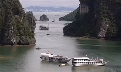 Quang Ninh prend des mesures pour améliorer ses services touristiques ảnh 3