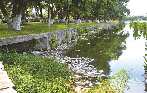 Dà Nang cherche à sauver ses plans d’eau ảnh 1 Dà Nang cherche à sauver ses plans d’eau ảnh 1