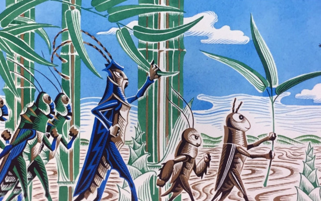 Quand le grillon de Tô Hoài s’aventure en Chine ảnh 3 Quand le grillon de Tô Hoài s’aventure en Chine ảnh 3