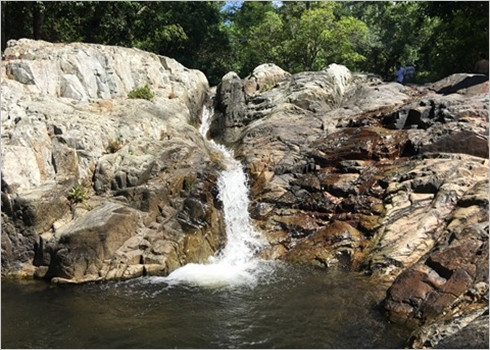 Départ en safari au Parc national de Phuoc Binh, dans le Centre ảnh 3