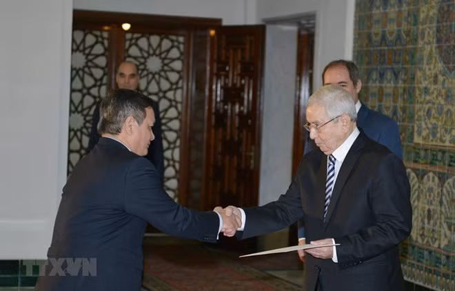 Le président algérien souhaite renforcer les relations avec le Vietnam ảnh 1