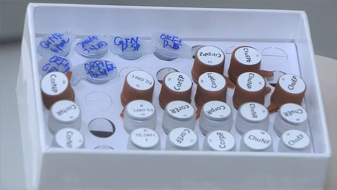 Covid-19 : Le Vietnam fabrique un test pour détecter le coronavirus ảnh 1
