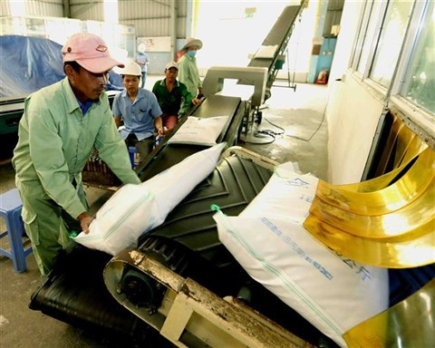 Les exportations de riz vietnamien vers le Sénégal sont en hausse ảnh 1