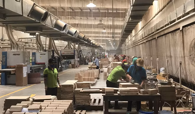 Le Vietnam, un marché potentiel de l’Allemagne ảnh 1