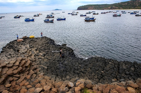 Phu Yên nécessite de grands avions pour le décollage touristique ảnh 1 Phu Yên nécessite de grands avions pour le décollage touristique ảnh 1