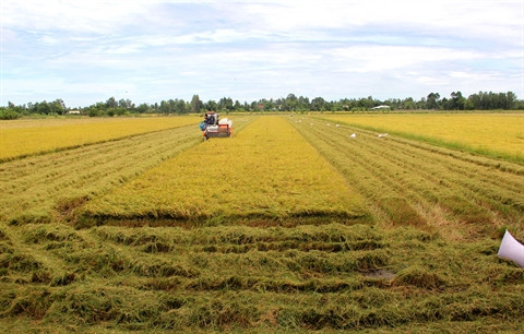 L'essor socio-économique en 2015 sous la loupe des députés ảnh 3 L'essor socio-économique en 2015 sous la loupe des députés ảnh 3