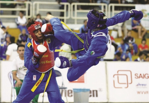 Le Vovinam à la conquête du globe ảnh 1 Le Vovinam à la conquête du globe ảnh 1