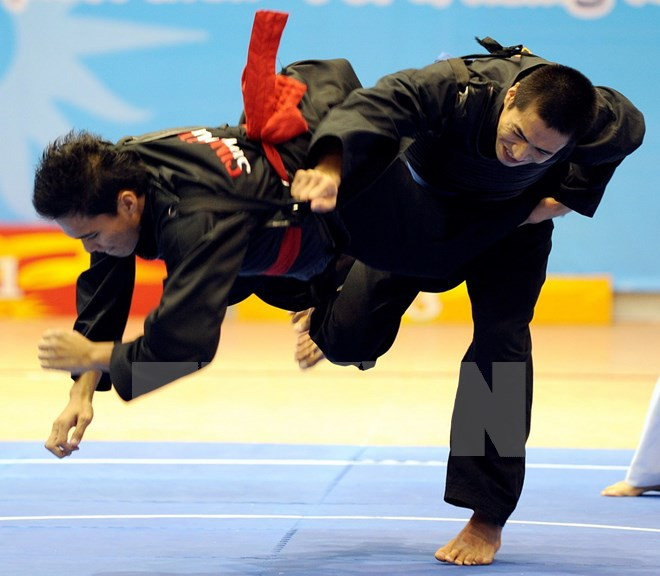 Sports : Vietnam et Laos resserrent leur coopération ảnh 1