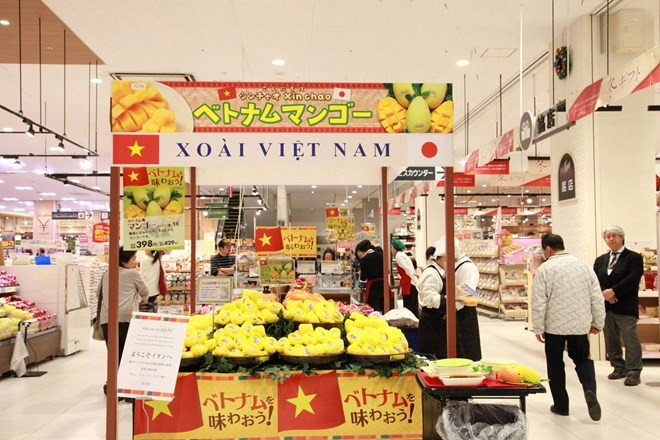 La mangue de Cat Chu est présente au Japon ảnh 1 La mangue de Cat Chu est présente au Japon ảnh 1