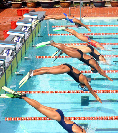 Nage avec palmes : le Vietnam remporte trois médailles d'or à Taïwan ảnh 1