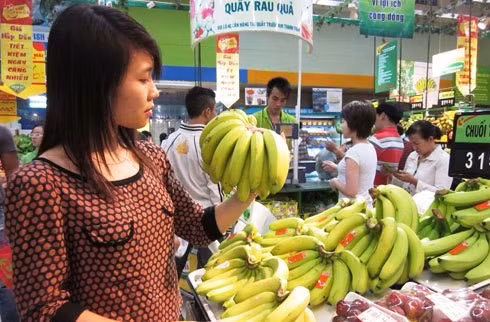 Pénurie de bananes pour l’export ảnh 1