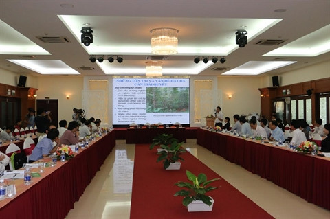Relier l’économie forestière à la Nouvelle ruralité ảnh 1 Relier l’économie forestière à la Nouvelle ruralité ảnh 1