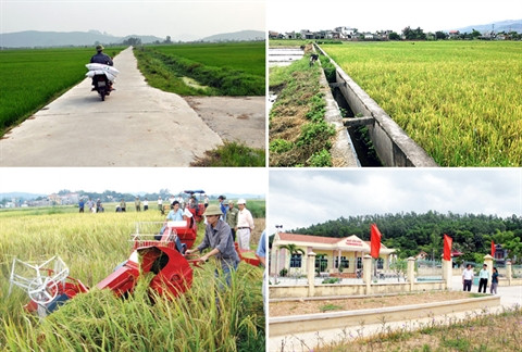 La région rurale de Quang Ninh fait peau neuve ảnh 1 La région rurale de Quang Ninh fait peau neuve ảnh 1