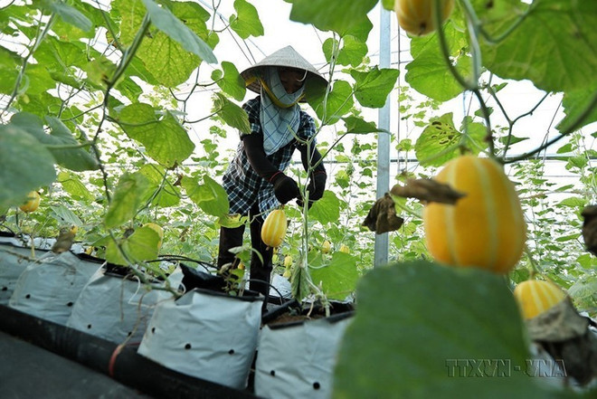 Bac Giang prend des mesures pour son développement socio-économique ảnh 2 Bac Giang prend des mesures pour son développement socio-économique ảnh 2