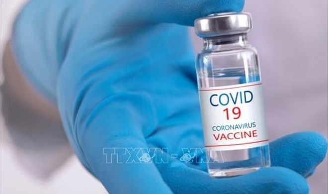 Le Vietnam attend 7 millions de doses de vaccin pour les enfants de 5 à 11 ans ảnh 1 Le Vietnam attend 7 millions de doses de vaccin pour les enfants de 5 à 11 ans ảnh 1