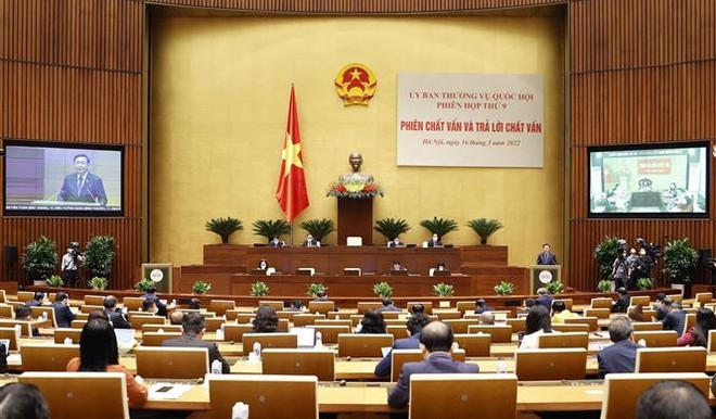 Le Comité permanent de l’AN interpelle deux ministres sur le commerce et l'environnement ảnh 1 Le Comité permanent de l’AN interpelle deux ministres sur le commerce et l'environnement ảnh 1