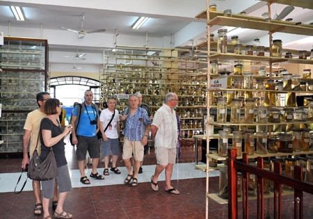 Hausse du nombre de touristes étrangers au Vietnam en neuf mois ảnh 1 Hausse du nombre de touristes étrangers au Vietnam en neuf mois ảnh 1