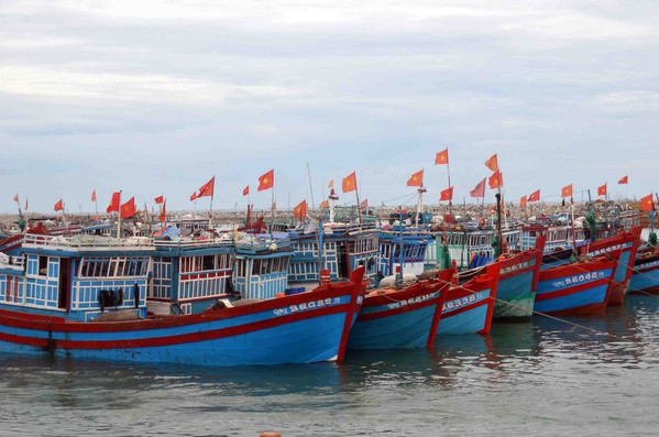 Thai Binh s’efforce de faire retirer le « carton jaune » imposé par la CE ảnh 1 Thai Binh s’efforce de faire retirer le « carton jaune » imposé par la CE ảnh 1